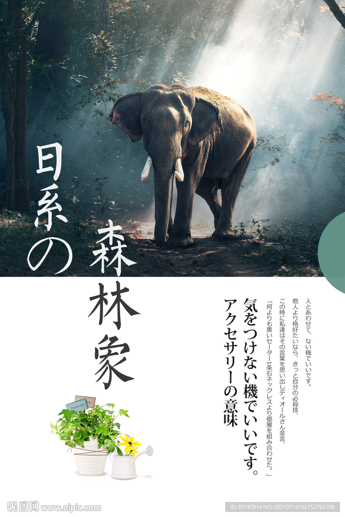 大象