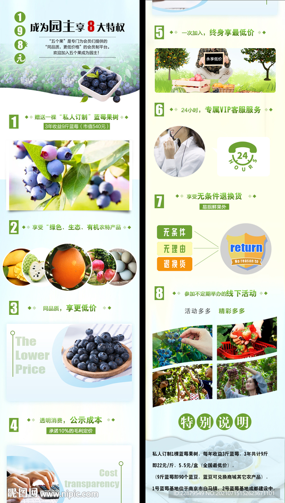 藍莓水果詳情頁