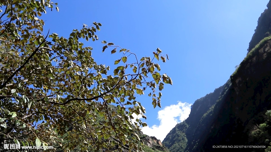 虎跳峽山谷
