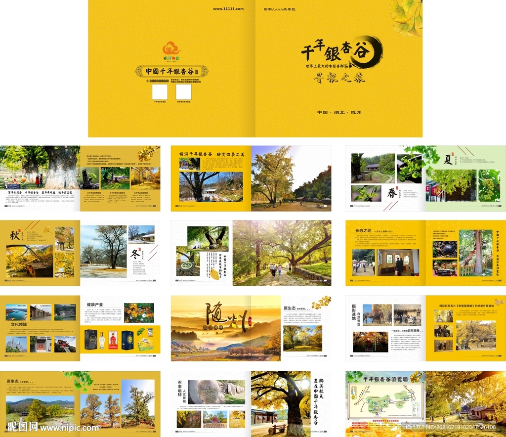 銀杏旅游畫冊
