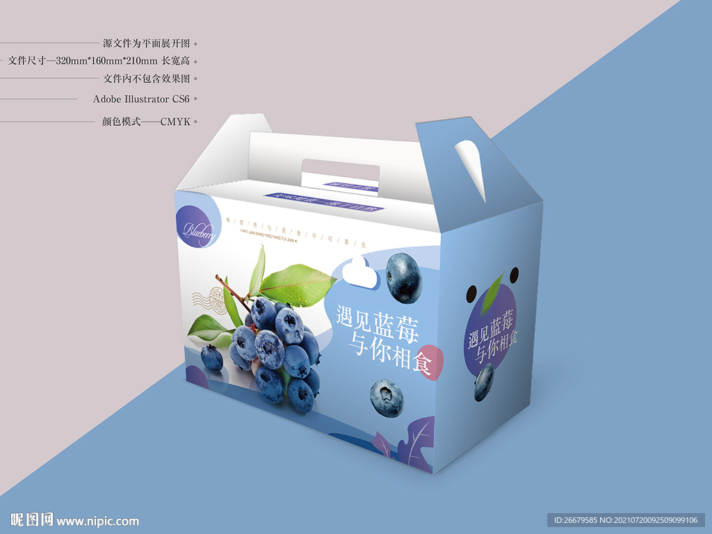 蓝莓包装 平面图