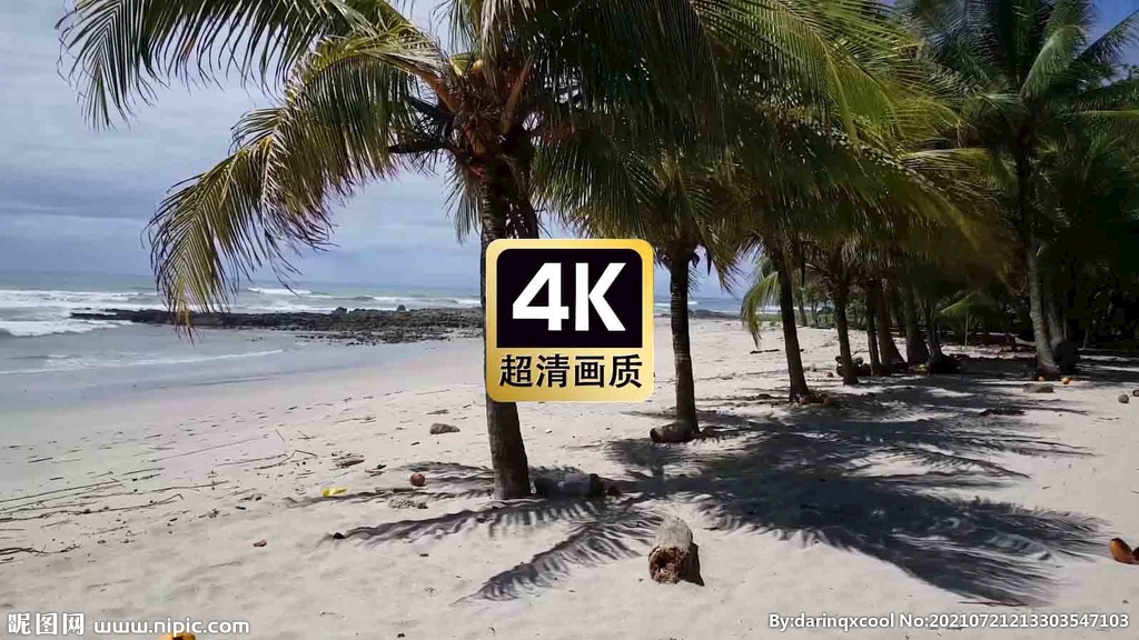 短视频素材热带海岛椰树风景