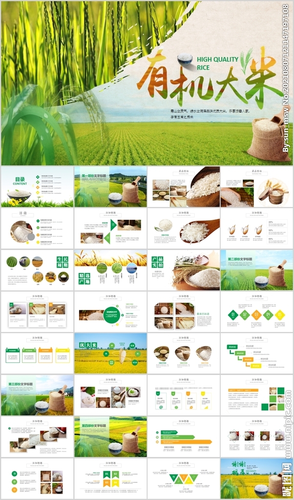 水稻五常有機大米PPT模板農(nóng)業(yè)