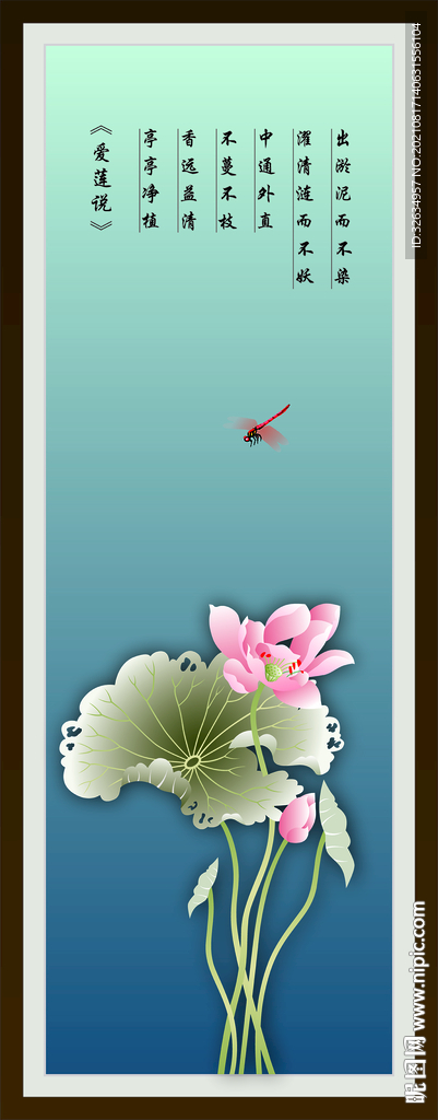荷花