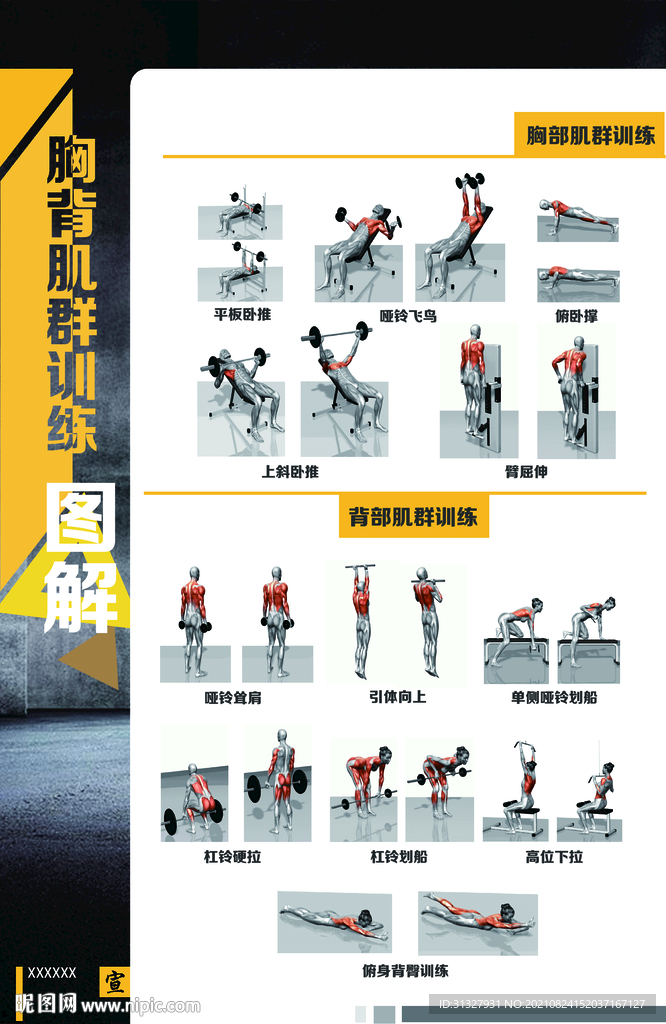 健身房文化墙海报之肌肉训练动作