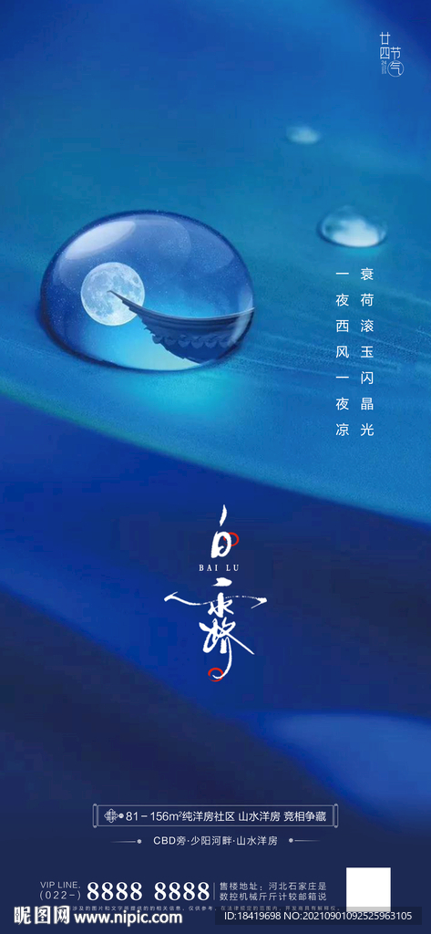 白露