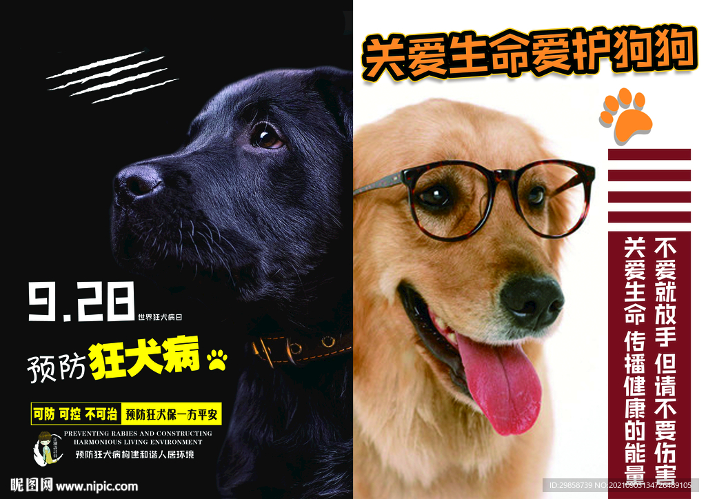 預防狂犬病    動物海報  