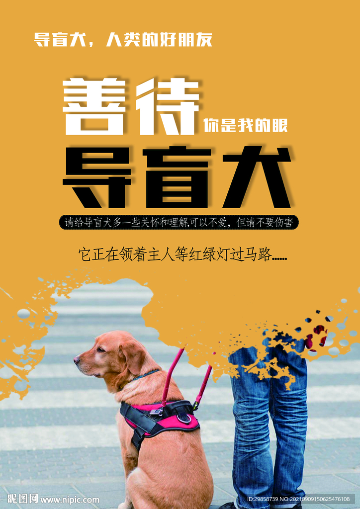 導(dǎo)盲犬    關(guān)愛動物