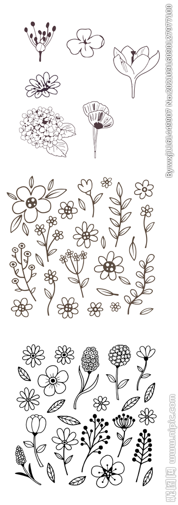 矢量花朵手绘线稿插画