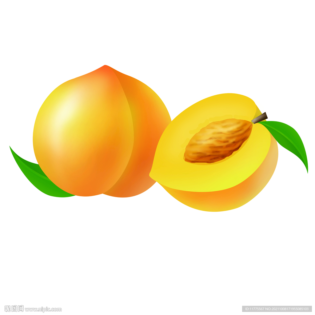 桃子  插畫