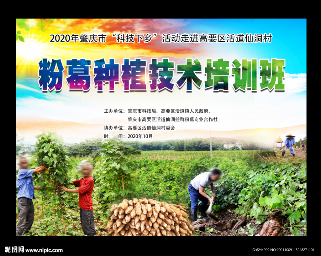 粉葛種植技術