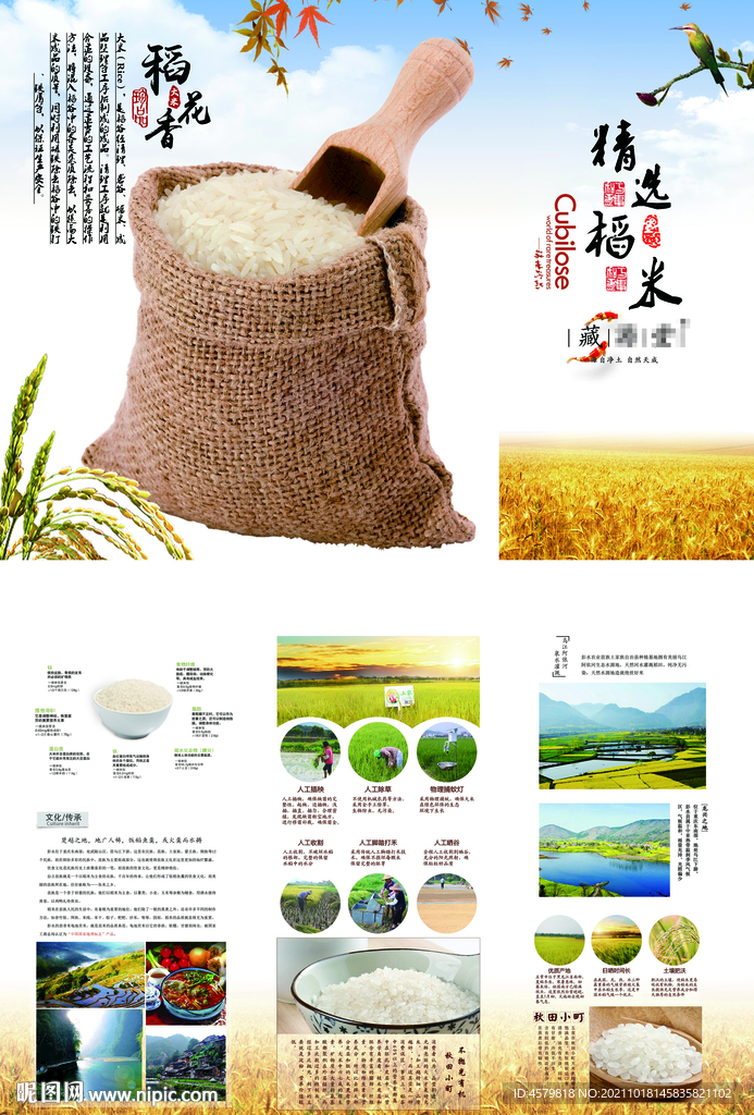 稻米折页