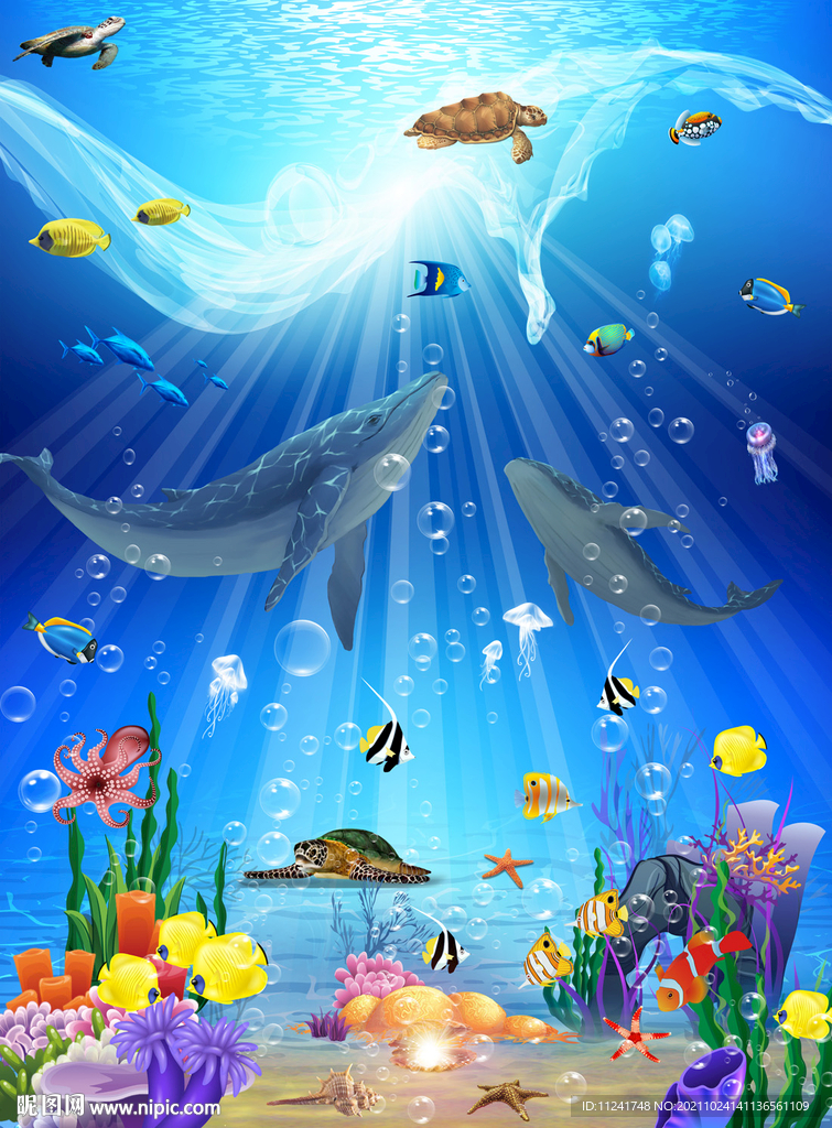 鯊魚