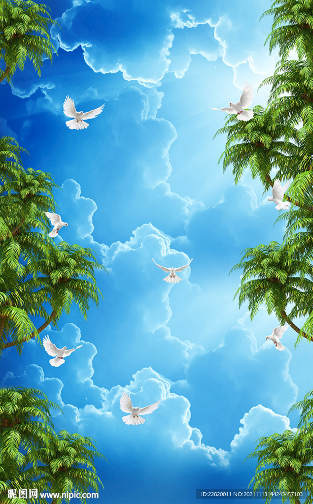 蓝天白云椰子树鸽子