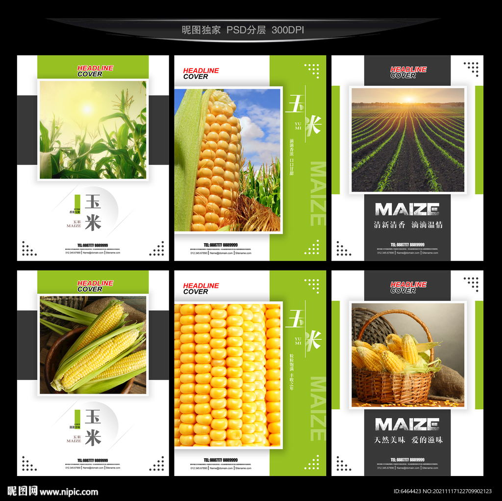 玉米设计图__海报设计_广告设计_设计图库_昵图网.