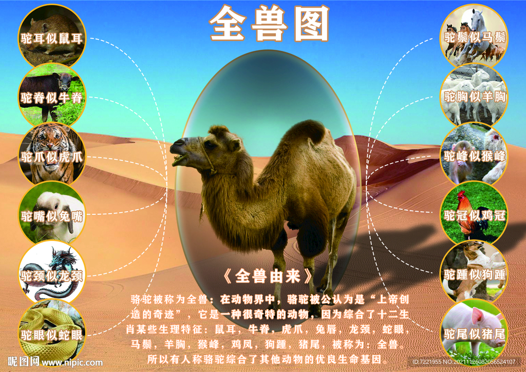 全獸圖