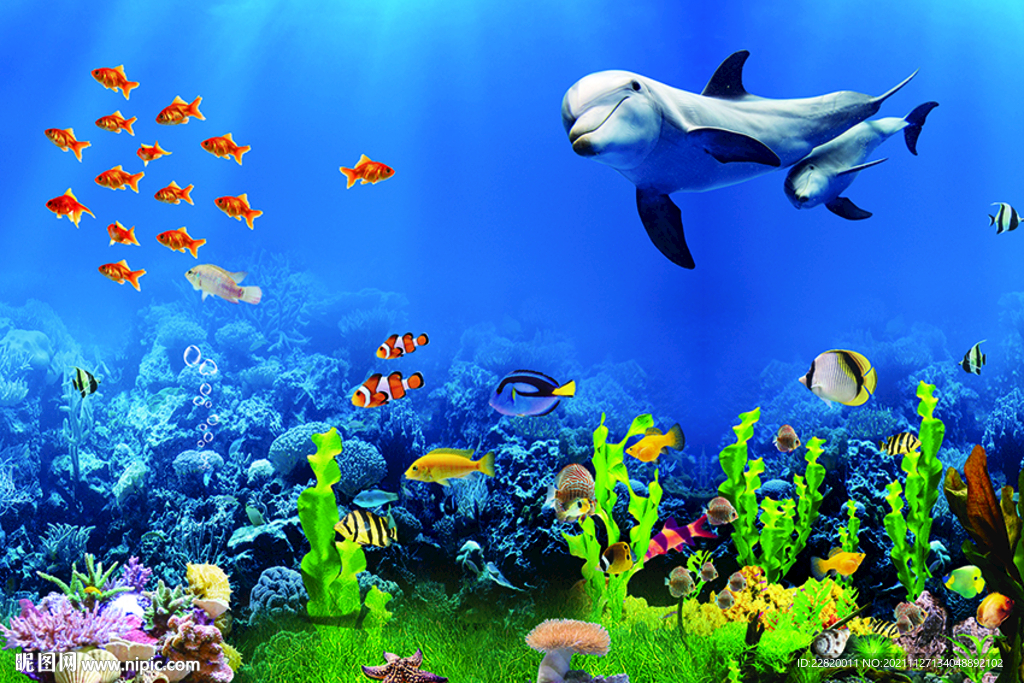 海洋世界海底世界3D海底图片