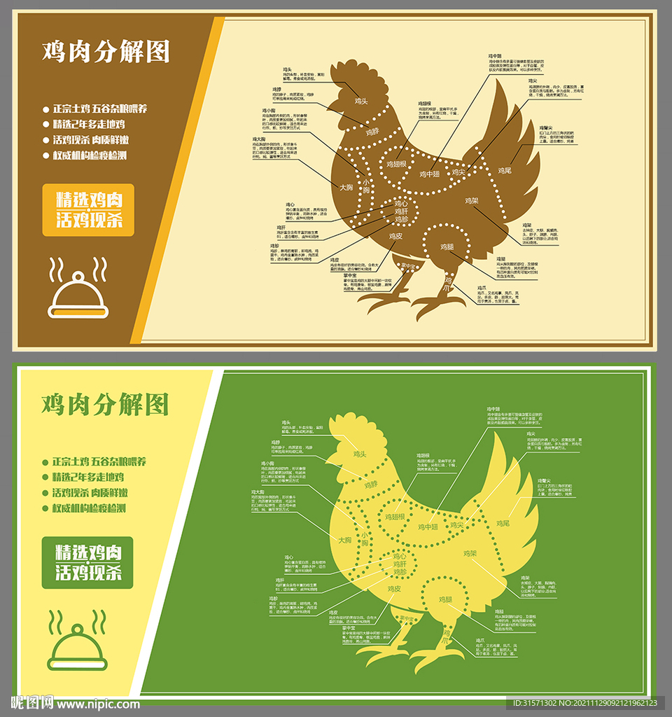 雞肉分解圖