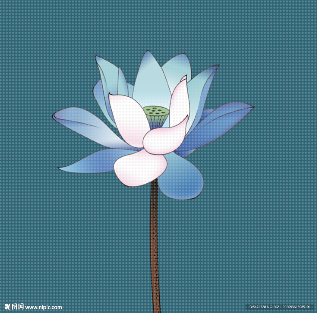 荷花