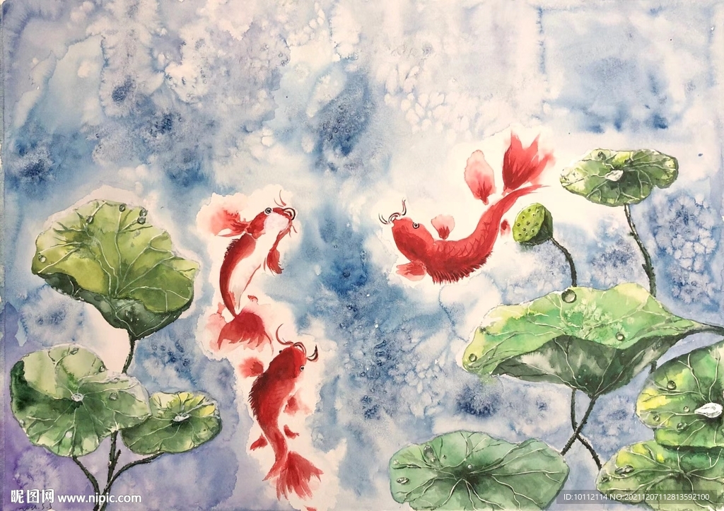荷塘鯉魚