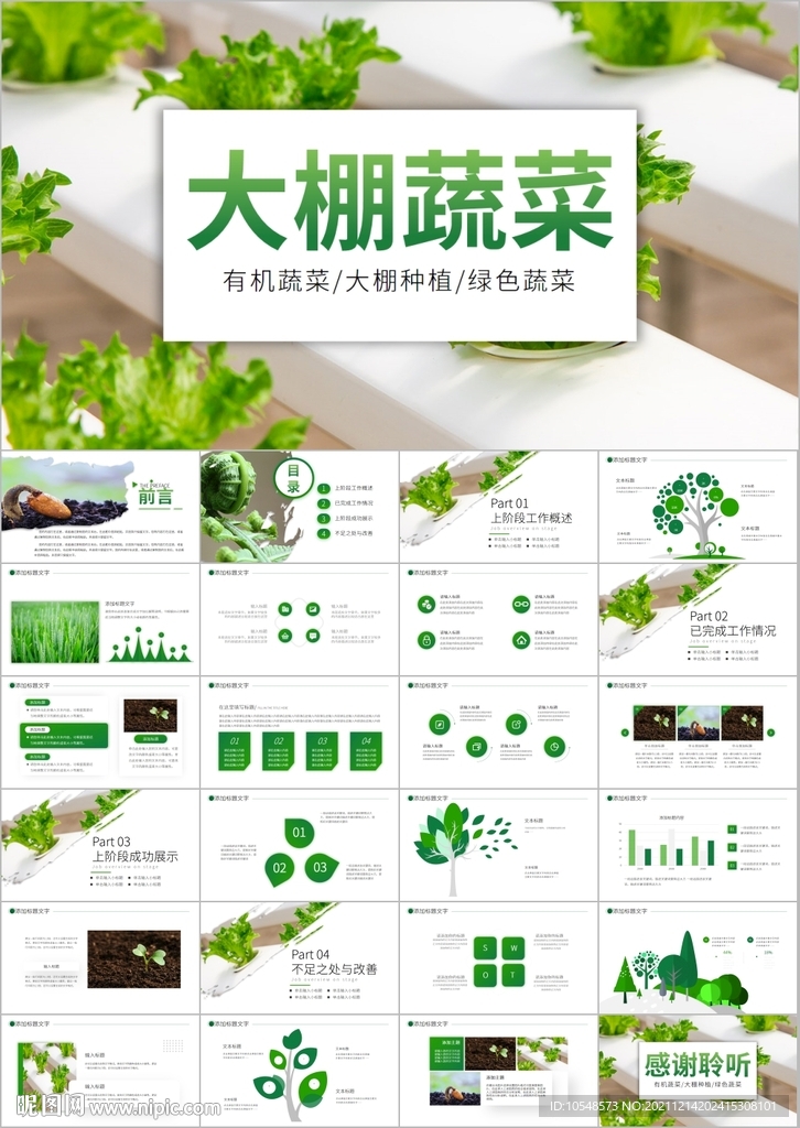 大棚蔬菜種植基地有機蔬菜ppt