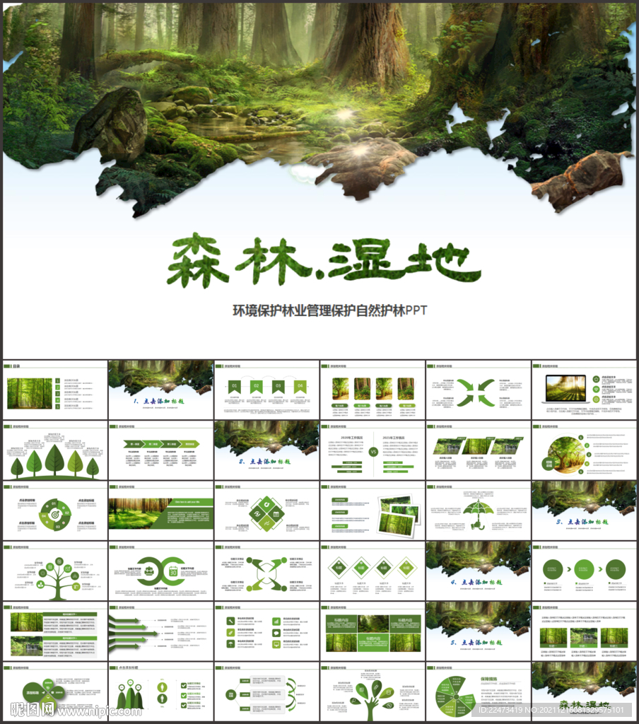 環保森林濕地環境保護生態PPT