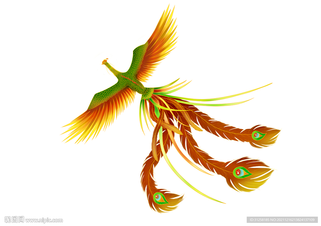 鳳凰手繪 鳳凰插畫系列 插畫鳳