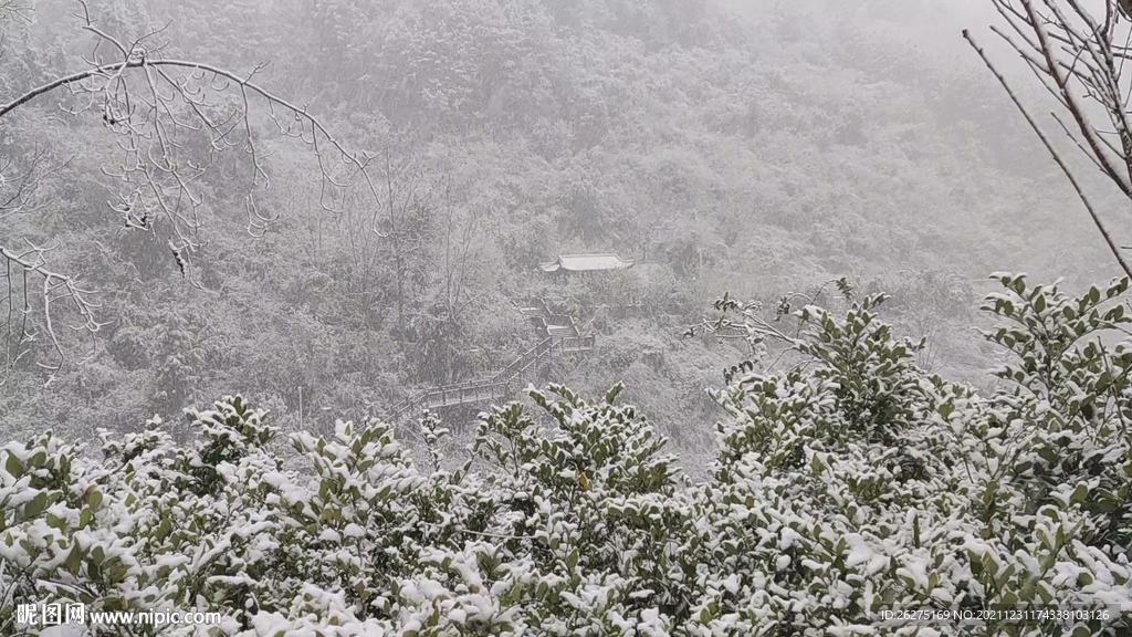 飄雪遠靜亭