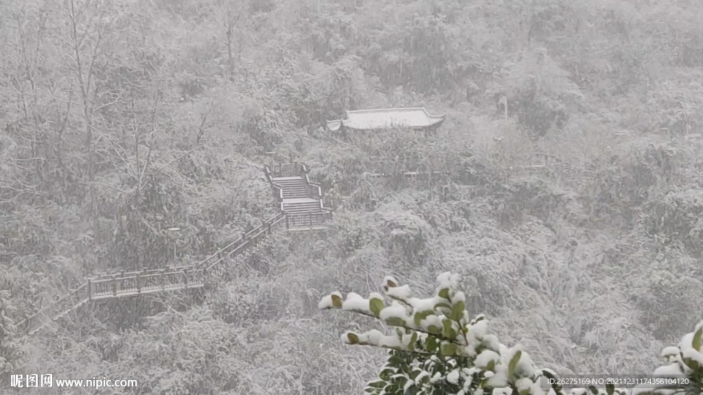 是雪是雨