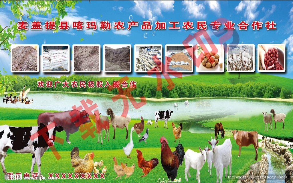 農(nóng)民合作社 