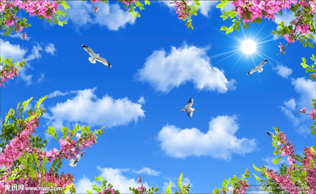 蓝天白云鸽子鲜花