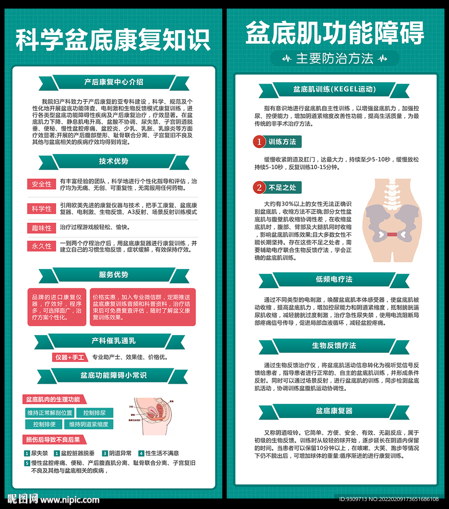 产后盆底肌康复图片