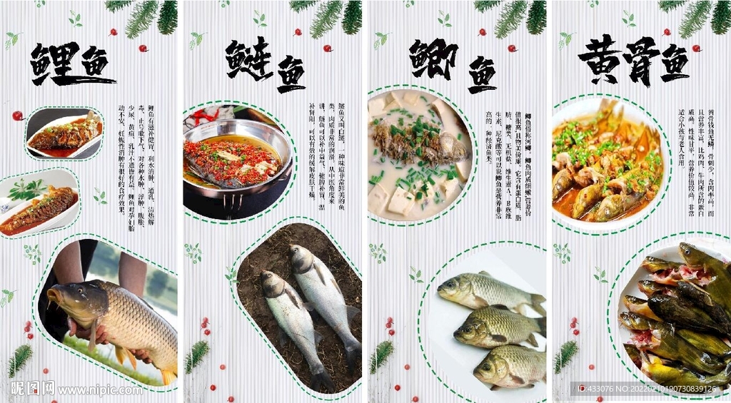 鯽魚海報