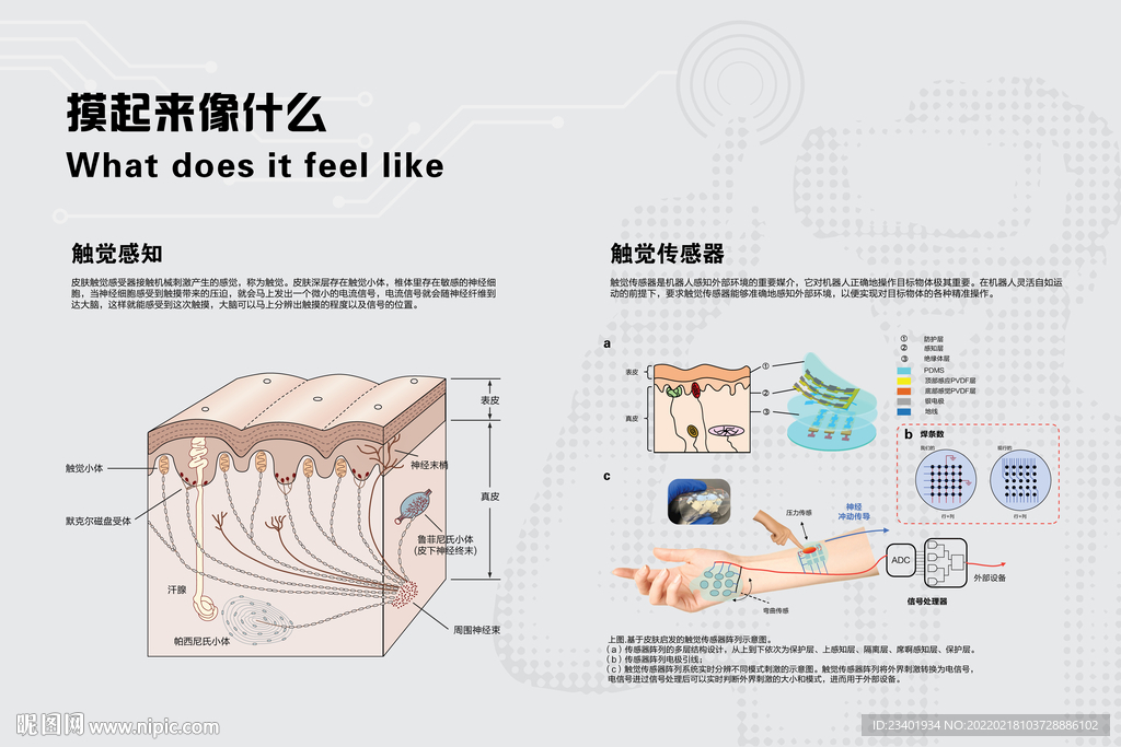 觸覺感知觸覺傳感器科技館圖文版