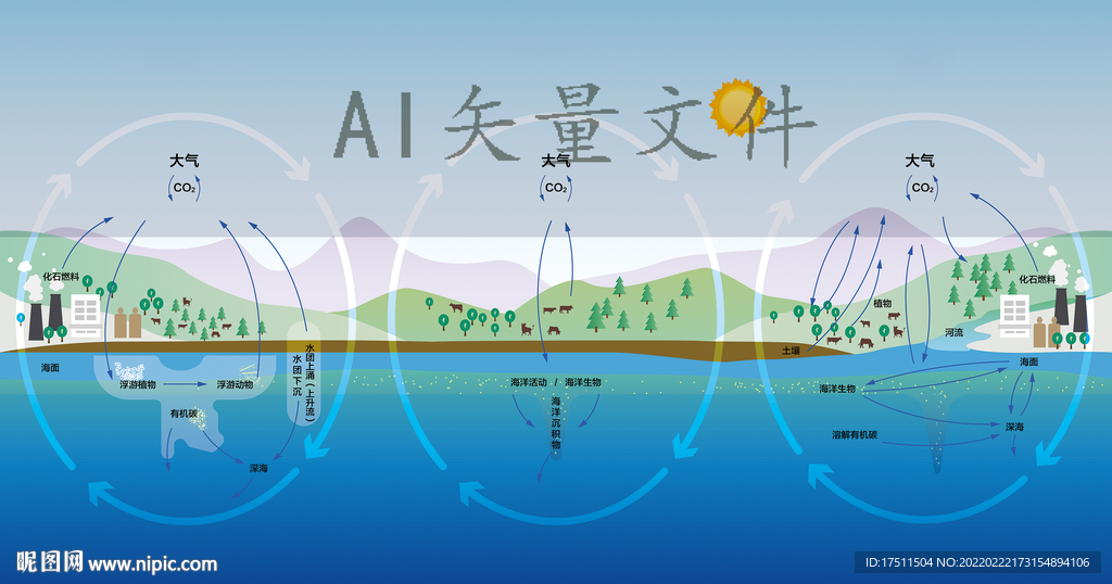 海洋碳循環