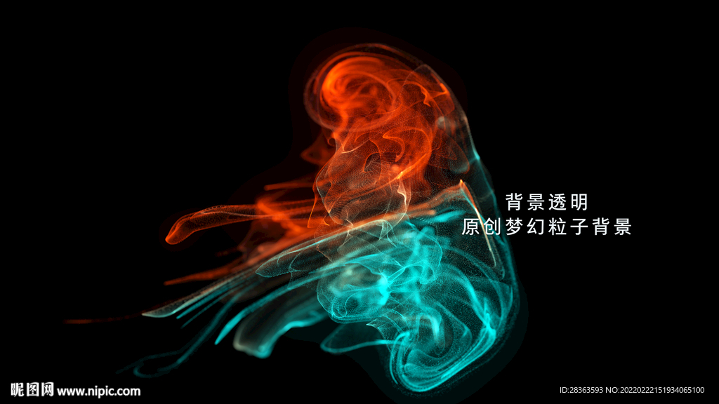 粒子
