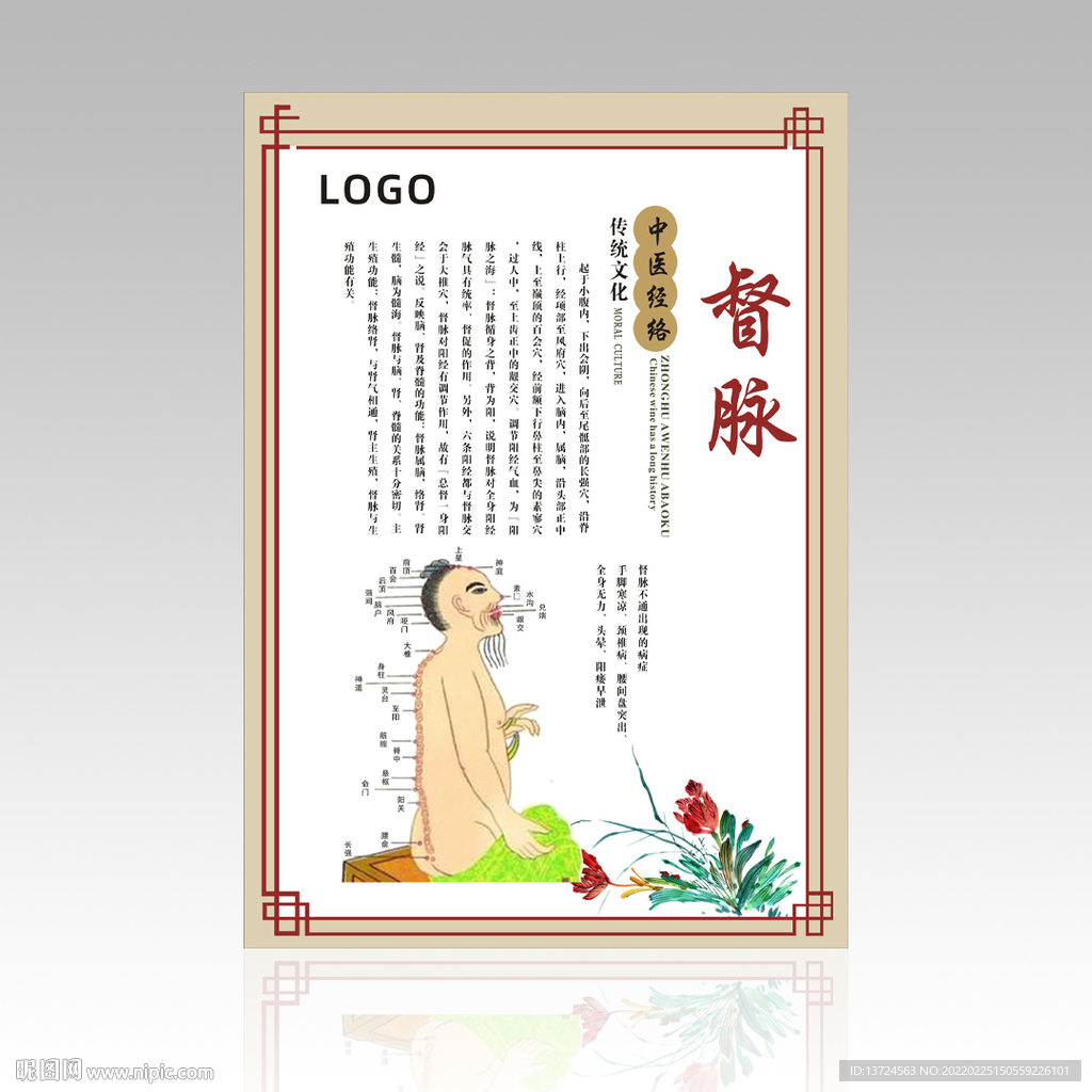 督脈掛圖展板