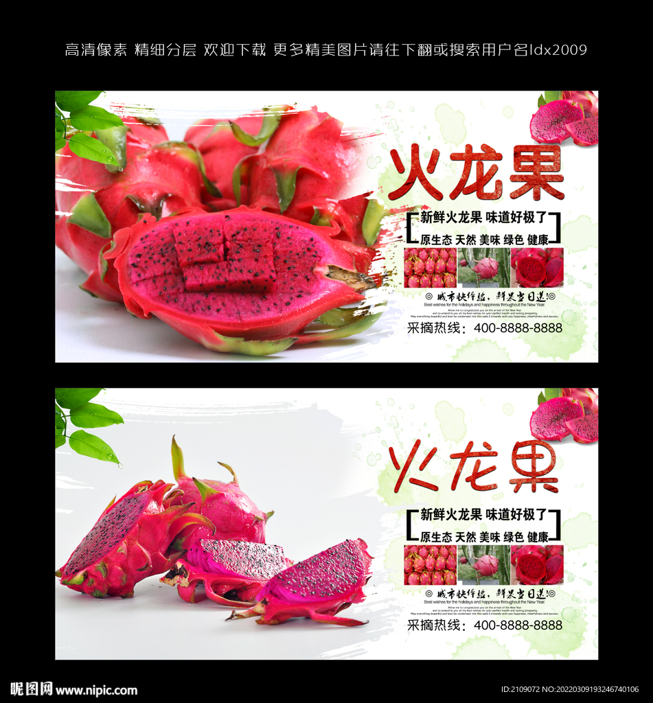 火龍果  