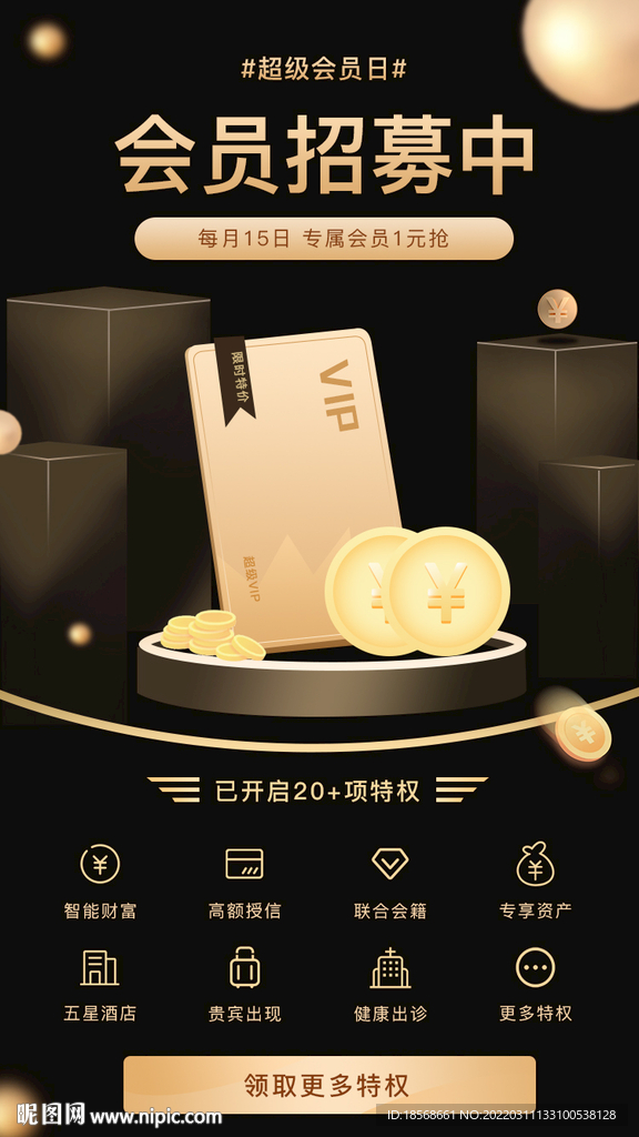 黑金色大氣VIP會員特權(quán)權(quán)益