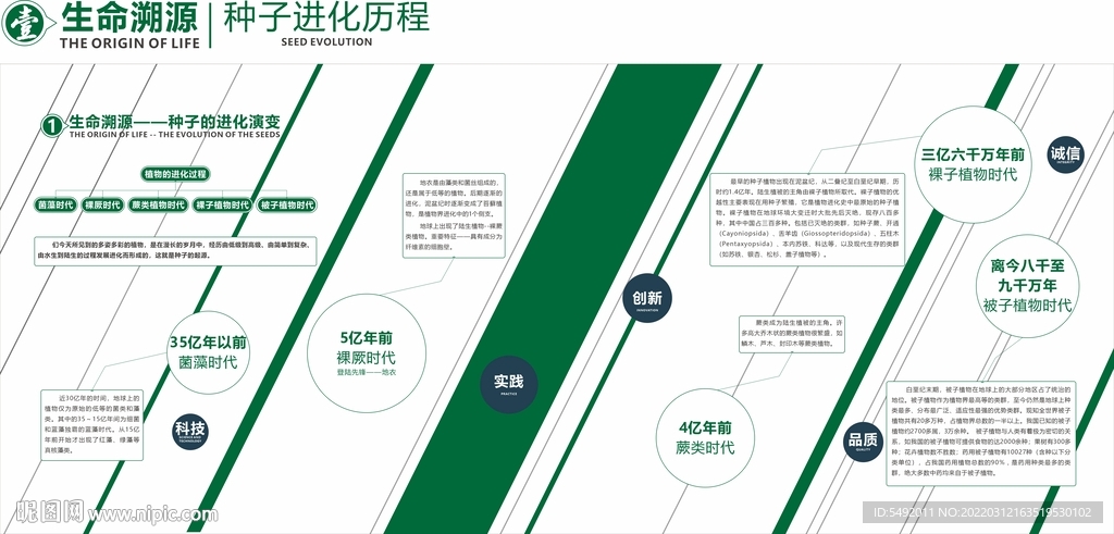 種子的進化
