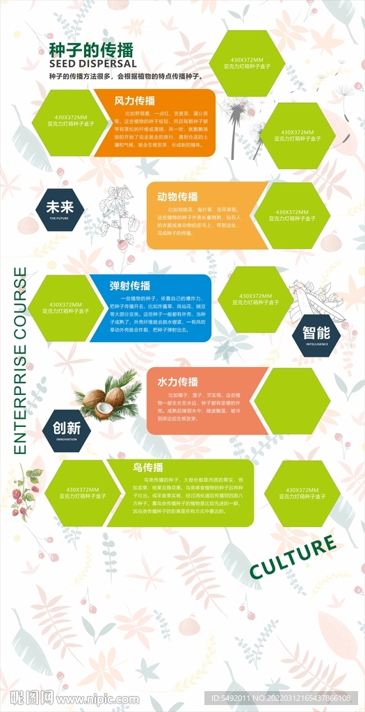 種子的訓(xùn)化