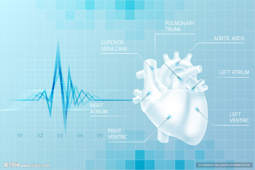 蓝色医疗心脏背景心电图矢量图