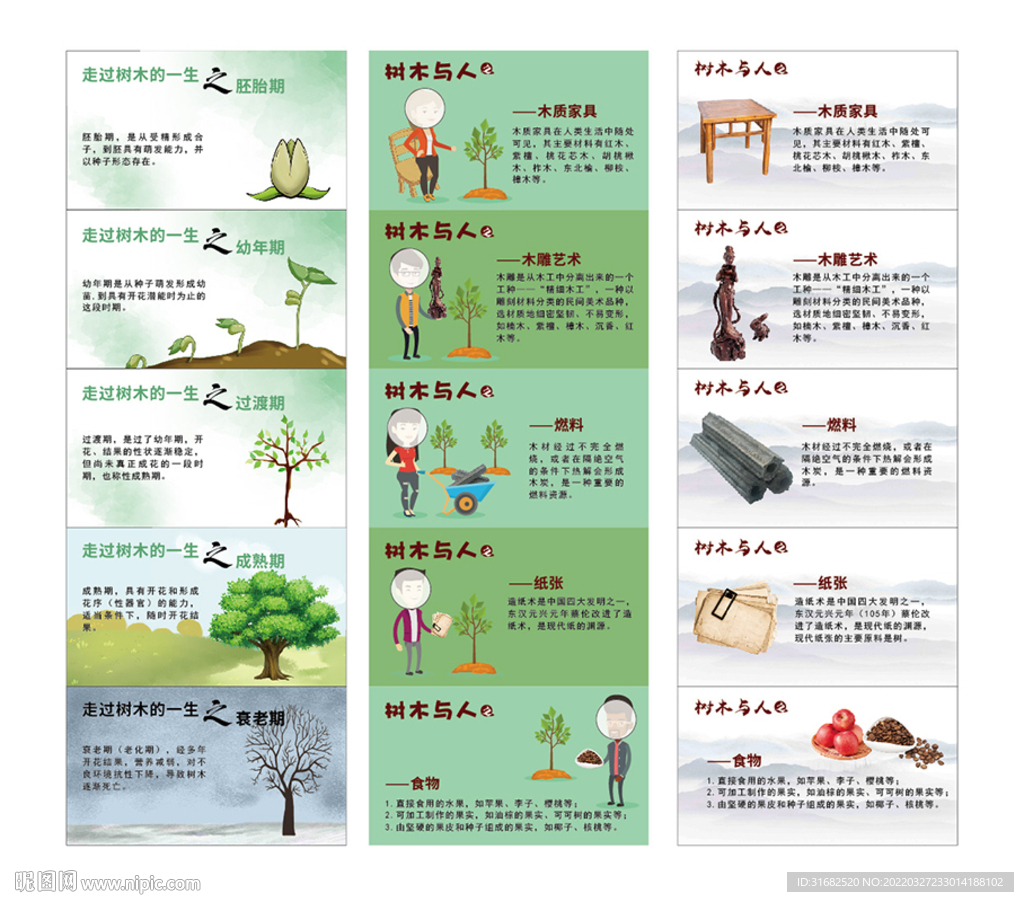一棵樹(shù)的旅行科普
