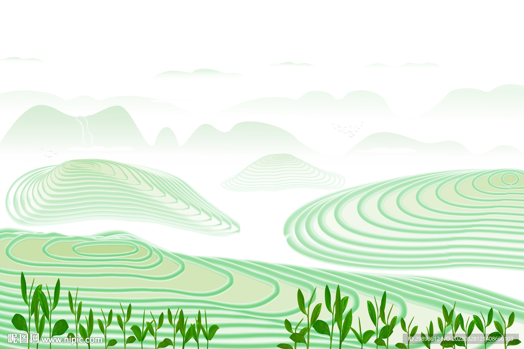 茶山云霧綠茶茶葉嫩葉嫩芽山水