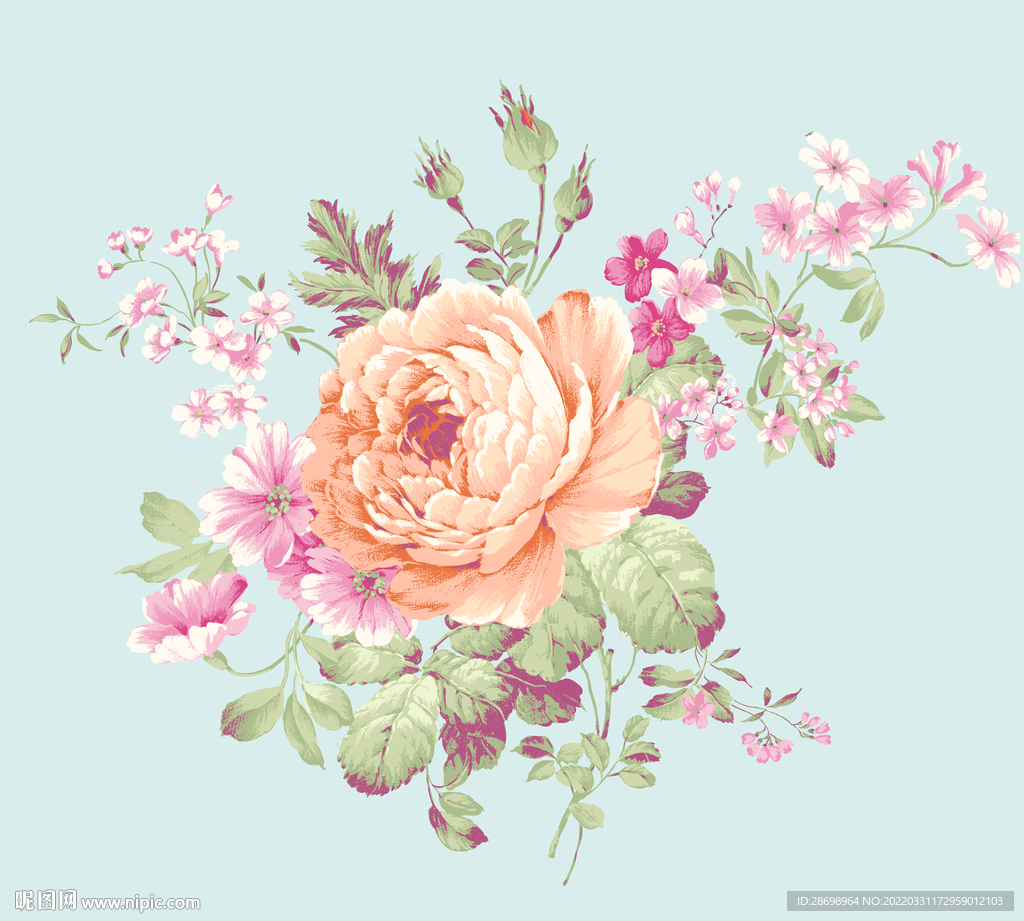 玫瑰花