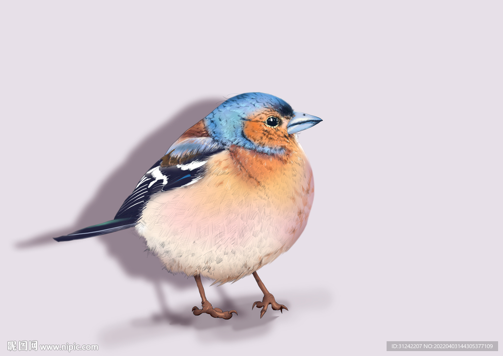 花鳥 燕雀