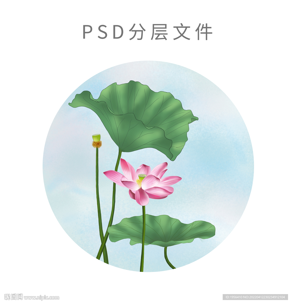 國潮插畫荷花荷葉