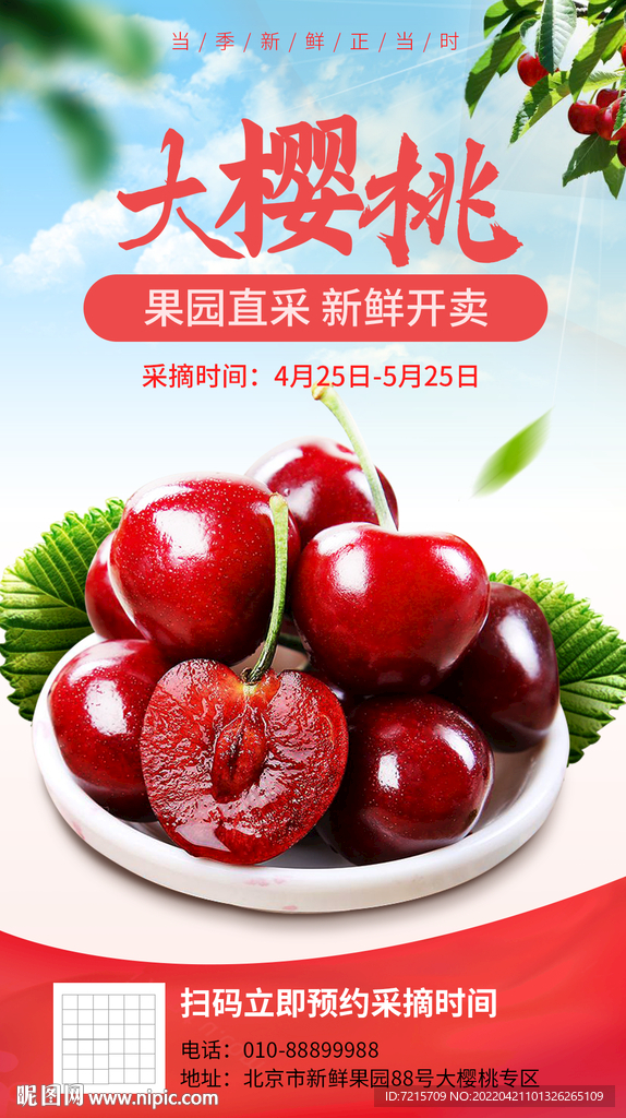 櫻桃海報(bào)