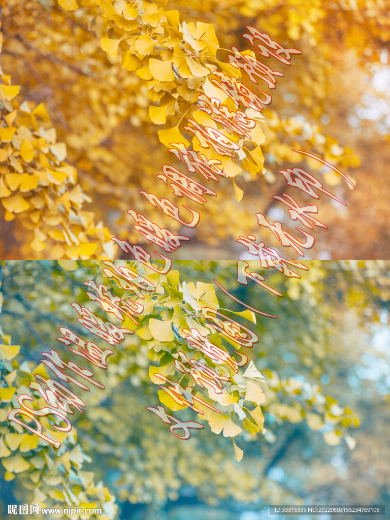 溫暖琥珀色暖色調旅拍濾鏡預設