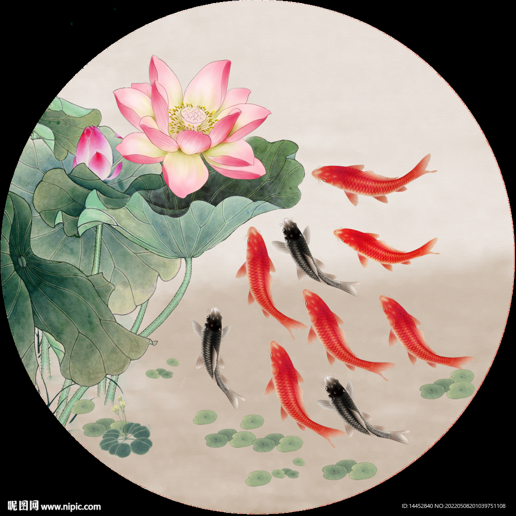 荷花魚